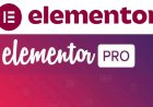 Elementor Pro v3.7.2 with Free 3.6.6 Full Template Kits download