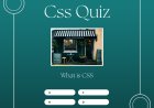 CSS QUIZ - BASIC