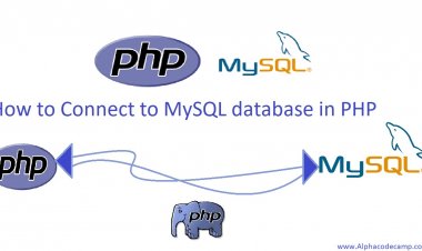 Connect to MySQL database in PHP